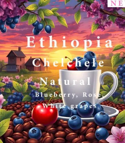 Alez | Ethiopia Chelehele 250G