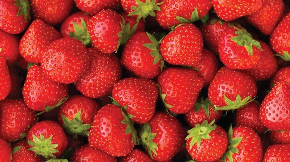 Slurp Strawberry Maison Fraise Fugen