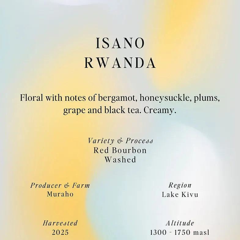 Sumo | Rwanda Isano 250G