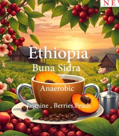 Alez | Ethiopia Buna Sidra 250G