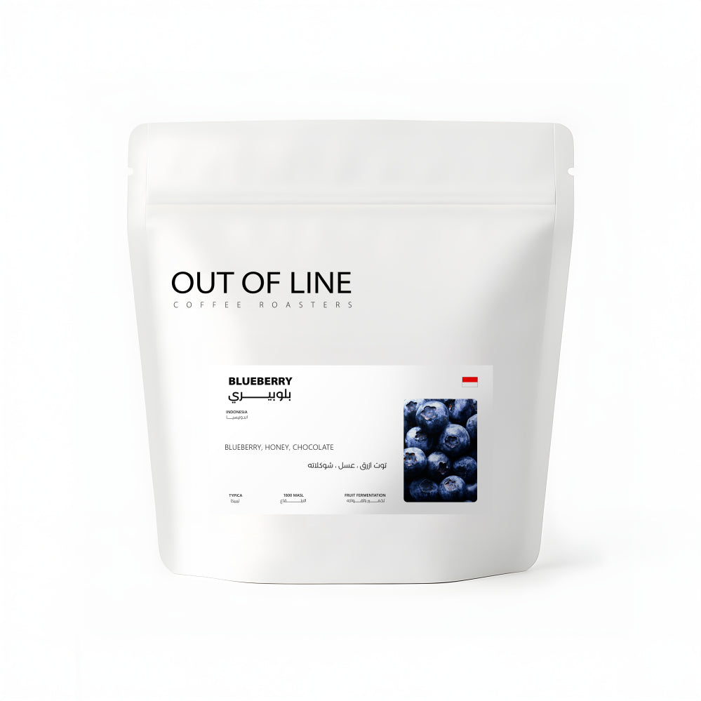 Out Of Line | Indonesia Blueberry 125G