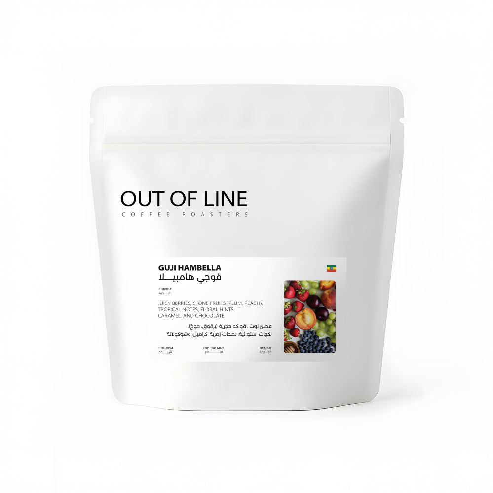 Out Of Line | Ethiopia Guji 250G