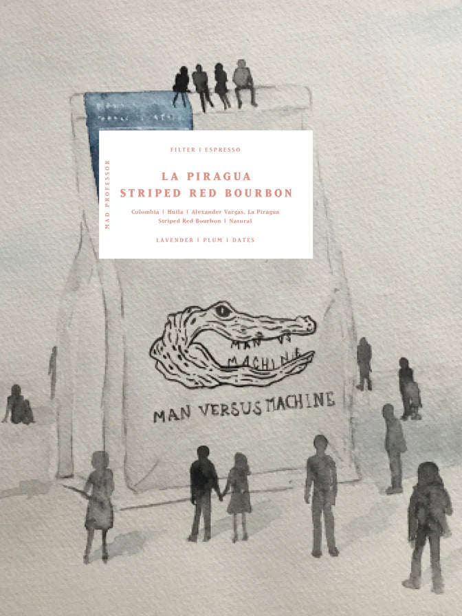 MVSM | Colombia La Piragua Red Bourbon 250G