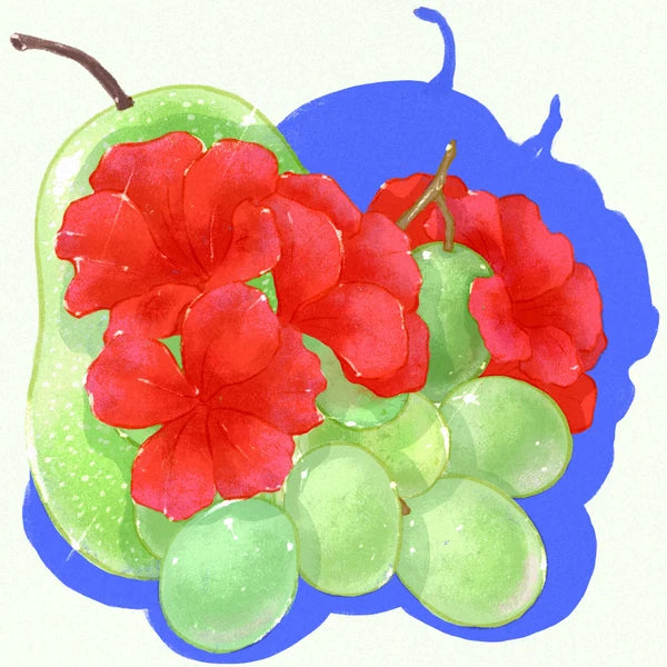 Hydrangea | Typica Pillcocaja 227G