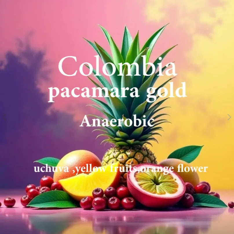 أليز | كولومبيا باكامارا جولد 250 جرام