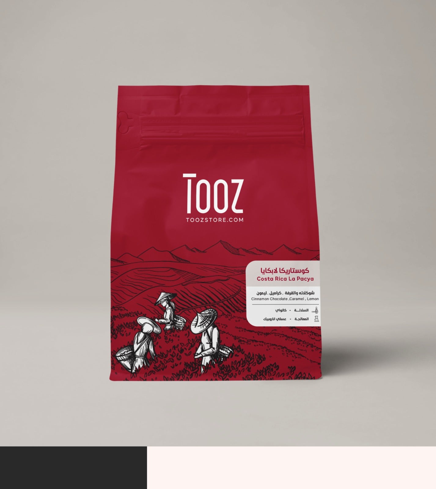 Tooz | Costa Rica La Pacya 250G