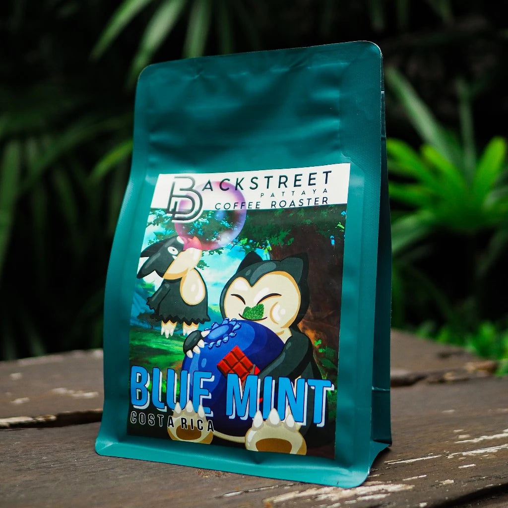 Backstreet | Costa Rica SHB Blue Mint 150G