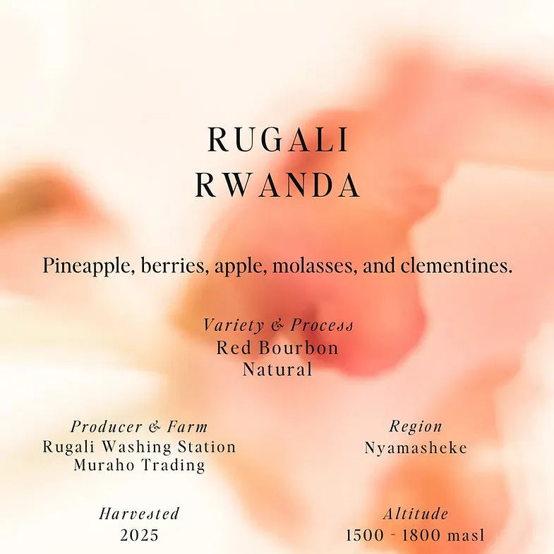Sumo | Rwanda Rugali Espresso 250G