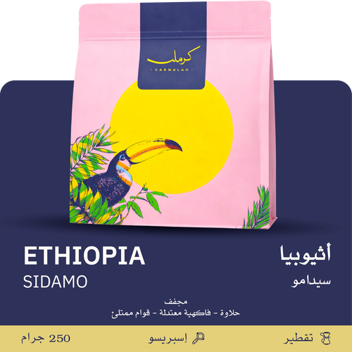 Carmalah | Ethiopia Sidamo 250G