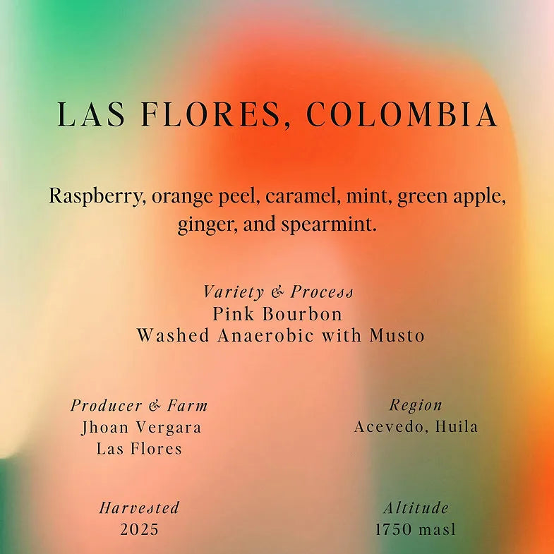 Sumo | Pink Bourbon Las Flores Colombia 250G