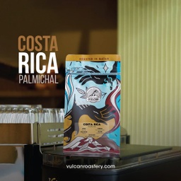 [SX02550] Vulcan Costa Rica Palmichal Los Urena 250G- Espresso Roast