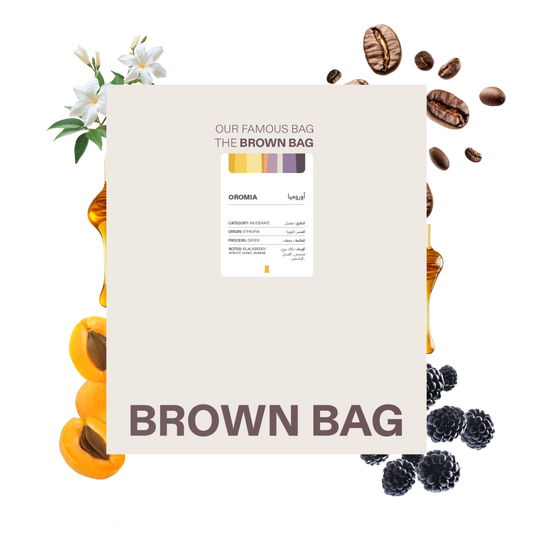 Brown Bag | Ethiopia Oromia 250G