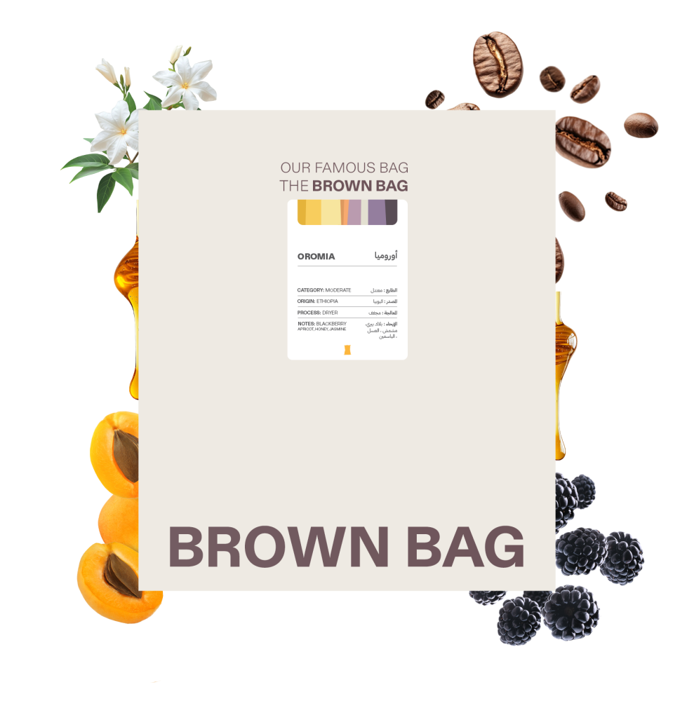 Brown Bag | Ethiopia Oromia 250G
