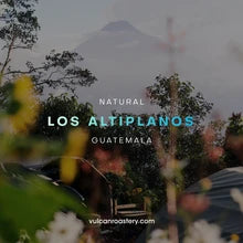 Vulcan | Guatemala  LOS ALTIPLANOS 250G Filter