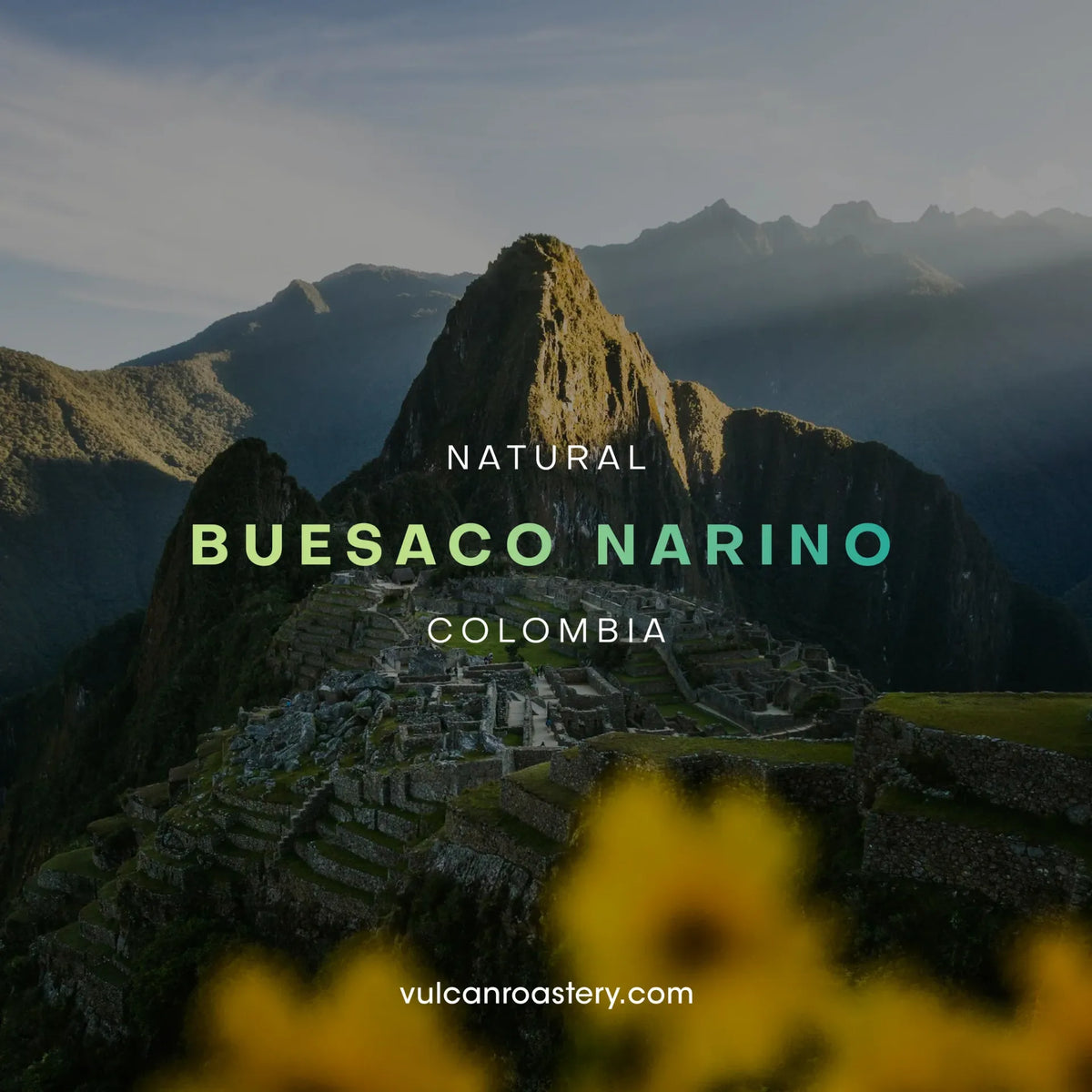 Vulcan | Colombia Buesaco 250G Filter