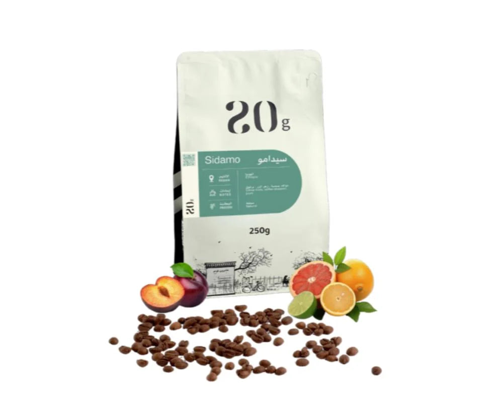 20G | Ethiopia Sidamo 250G