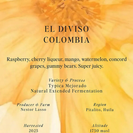 السومو | كولومبيا إل ديفيسو 200 جرام