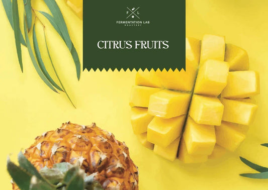 Fermentation Lab | Citrus Fruits 100G