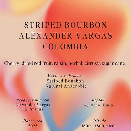 Sumo | Striped Bourbon Alexander Filter 250G