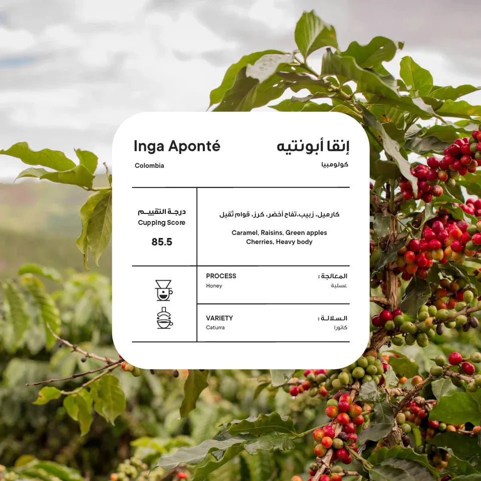 Piccolo | Colombia Inga Aponte 250G