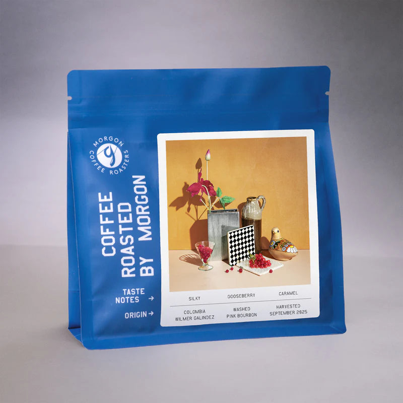 Morgon | Colombia Wilmer Galindez ESP 250G