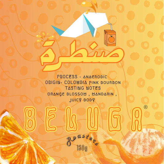 Beluga | Colombia Santara 150G