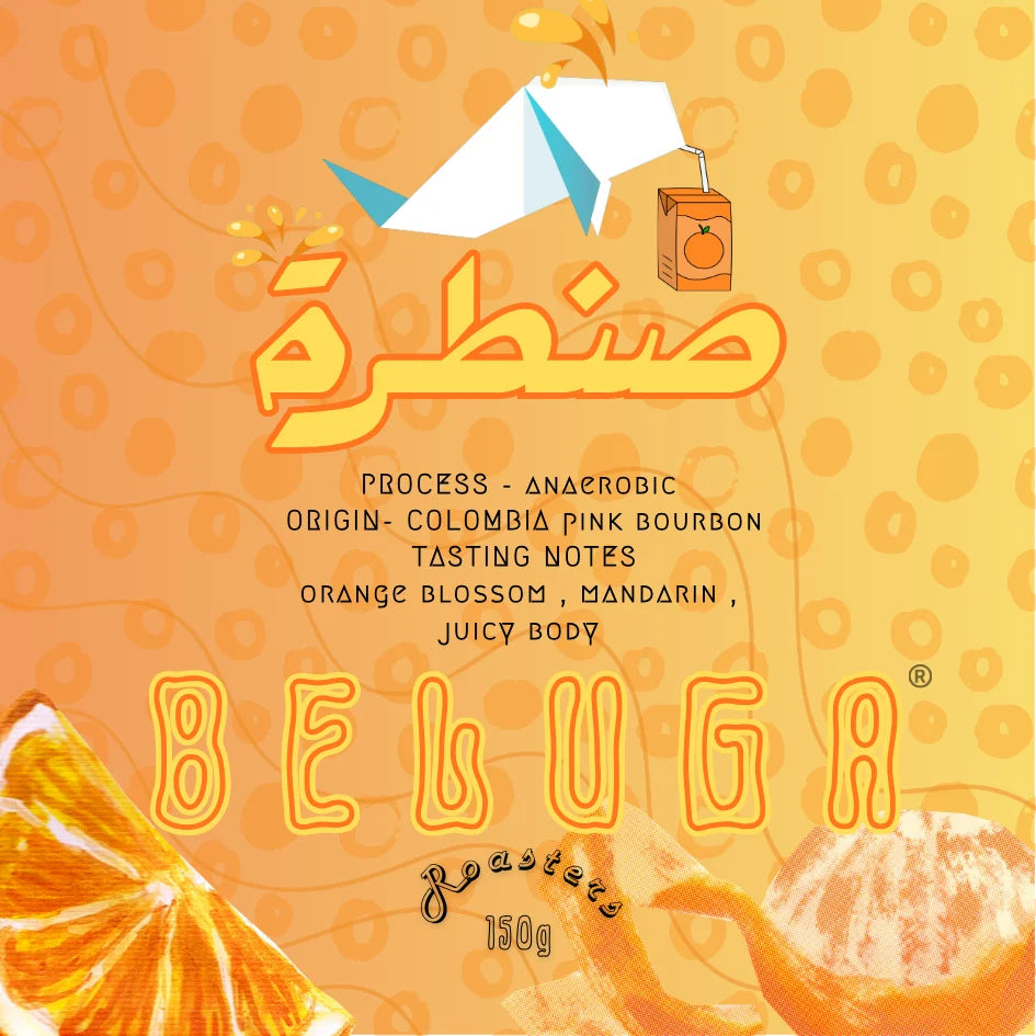 Beluga | Colombia Santara 150G