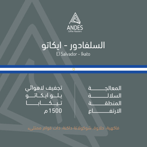 Andes | El Salvador Icato 250G