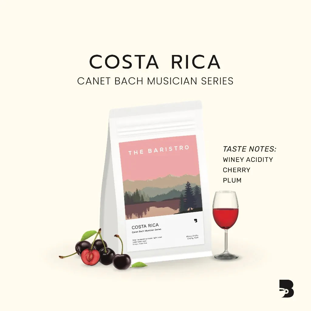 Baristro | Costa Rica Bach 200G