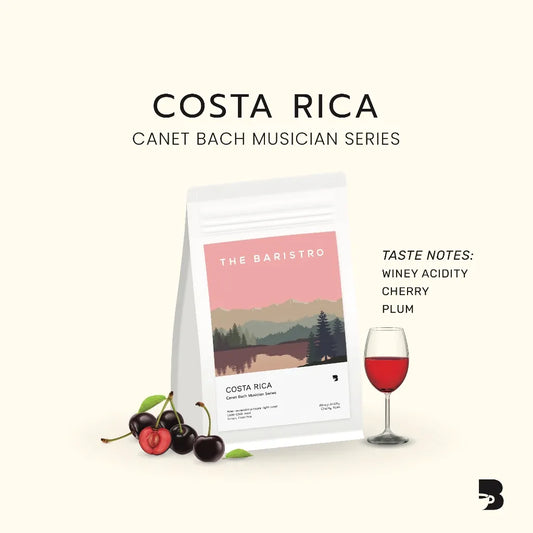 Baristro | Costa Rica Bach 200G