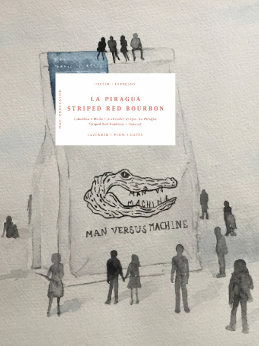 MVSM | Colombia La Piragua Red Bourbon 250G