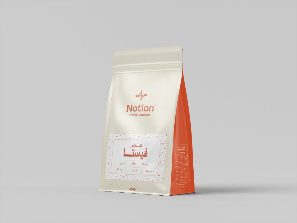 Notion | El Salvador Vista 250G