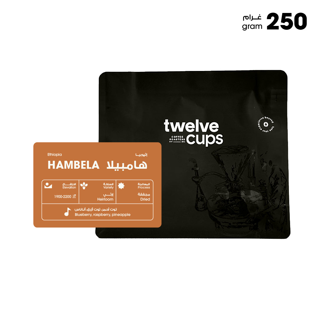 Twelve Cups | Ethiopia Hambela 250G