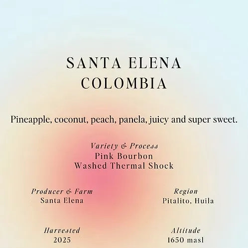 Sumo | Colombia Santa Elena 250G