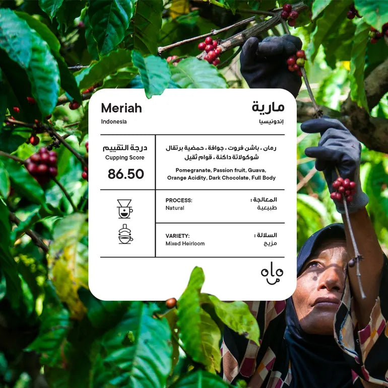 Piccolo | Indonesia Meriah 250G