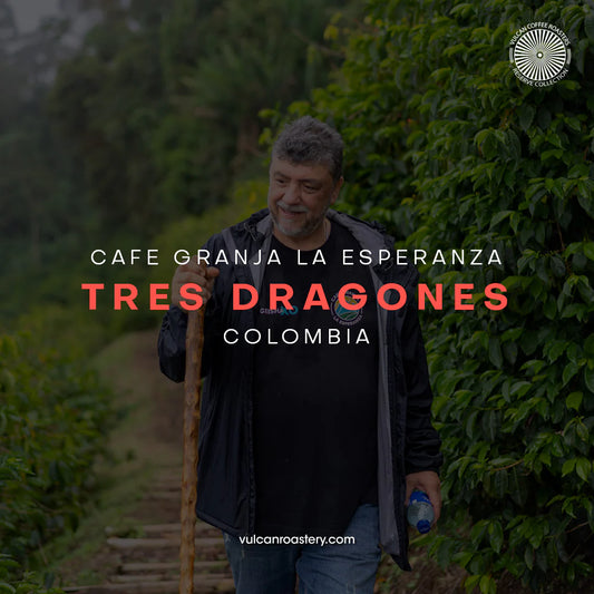 Vulcan | Colombia Tres Dragones Filter 250G