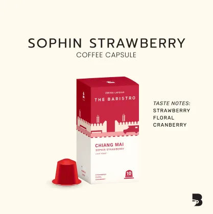 Baristro | Coffee Capsule Sophin Strawberry Blend 10pcs