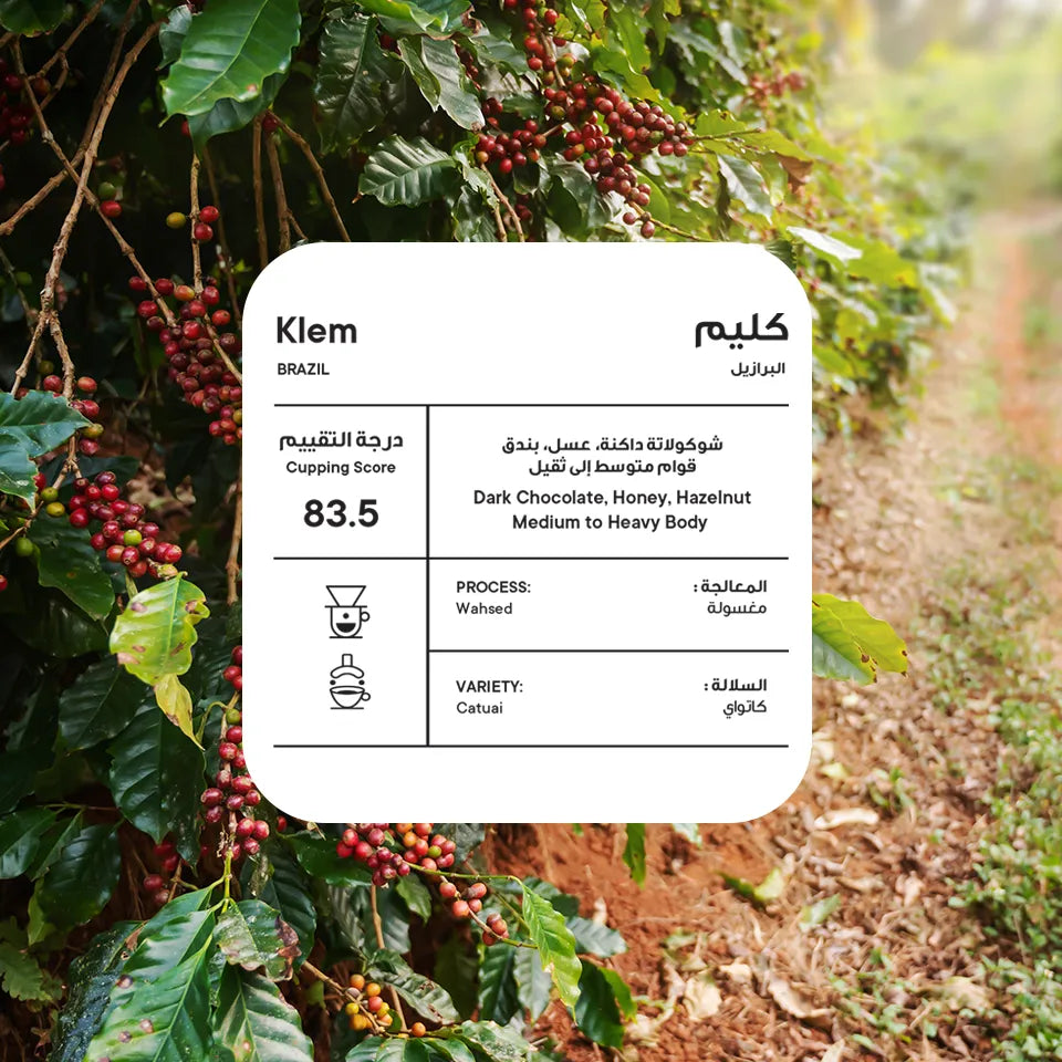 Piccolo | Brazil Klem 250G