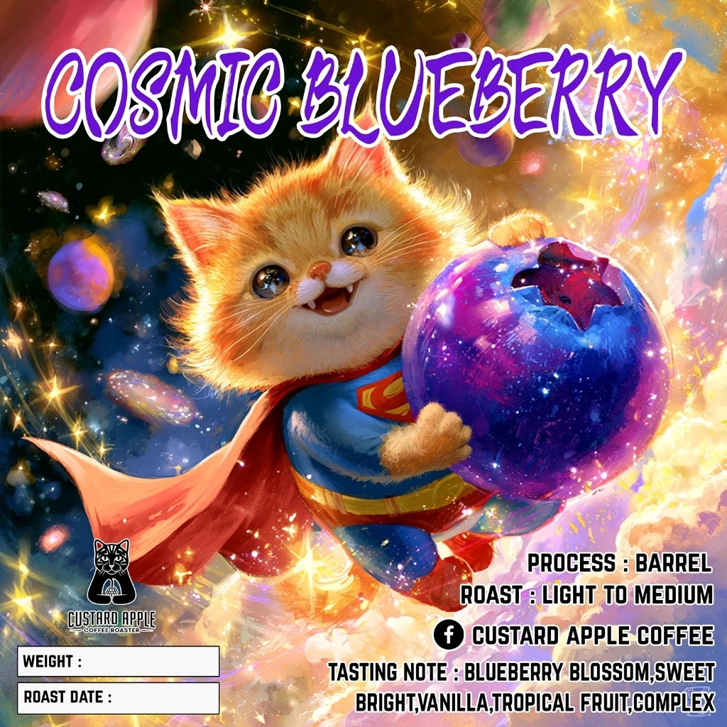 Custard | Cosmic BlueBerry 250G