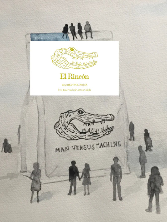 MVSM | Colombia El Rincon 250G