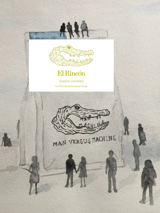 MVSM | Colombia El Rincon 250G