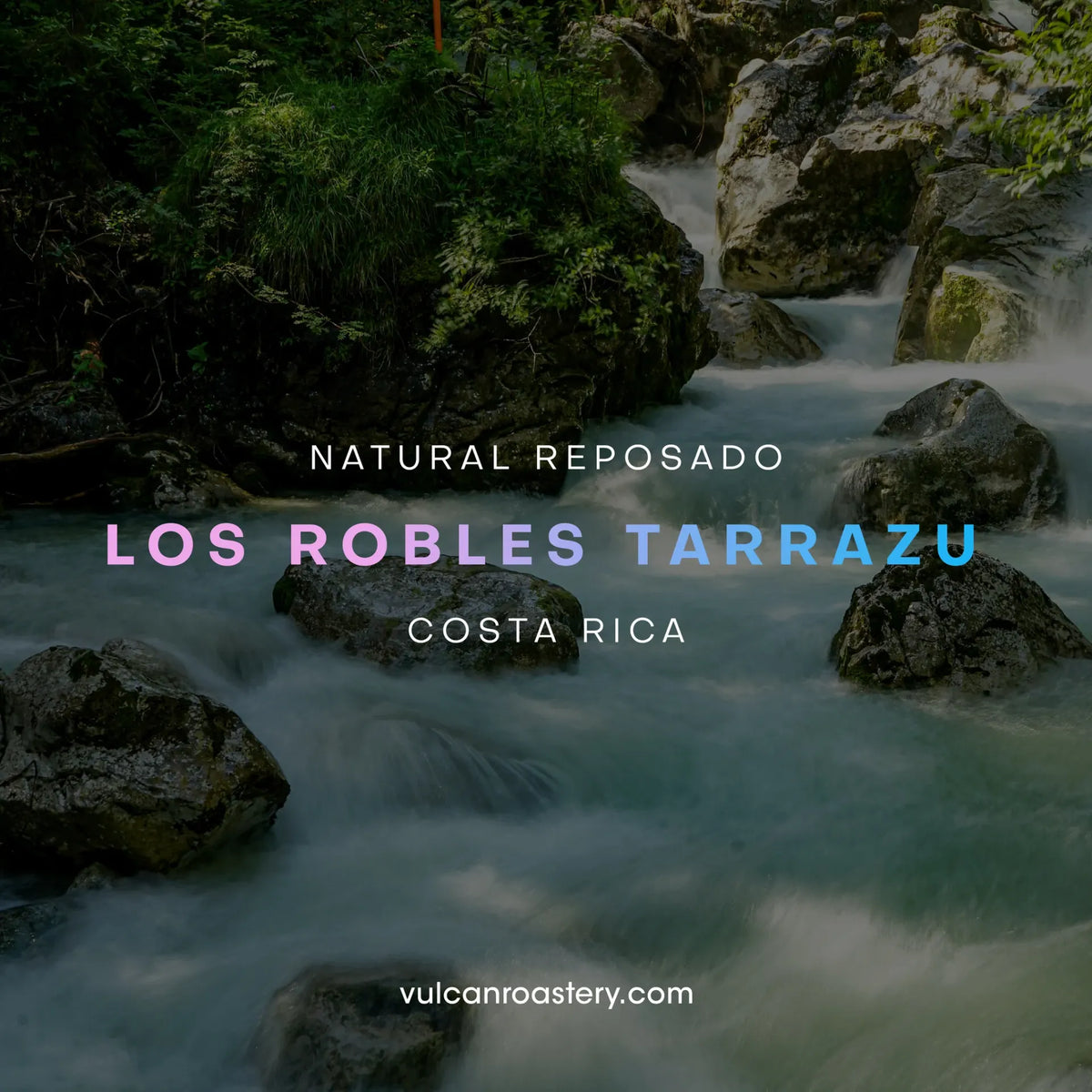 Vulcan | Costa Rica Los Robles 250G Filter