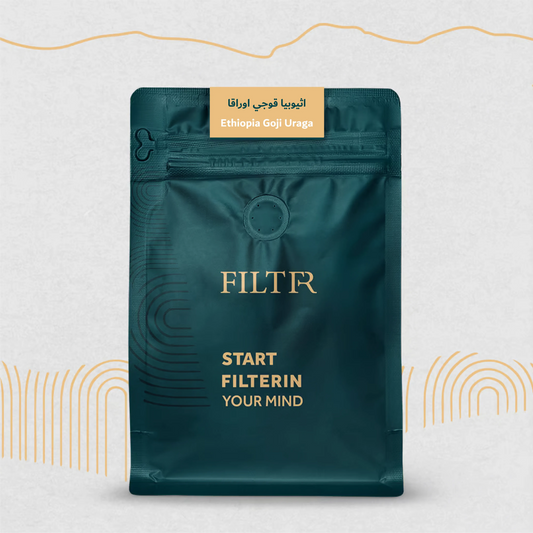 FILTR | Ethiopia Guji Uraga 250G