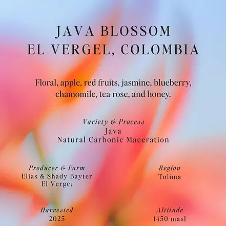 Sumo | Java Blossom El Vergel Colombia 250G