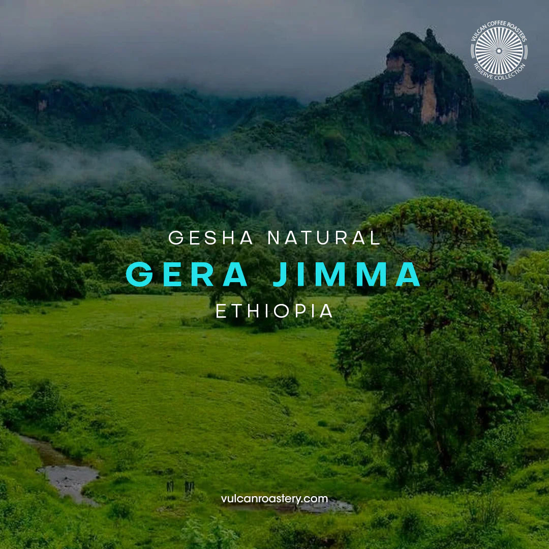 Vulcan | Ethiopia Gera Geisha Filter 250G