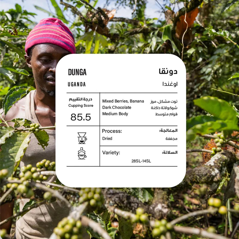 Piccolo | Uganda Dunga 250G