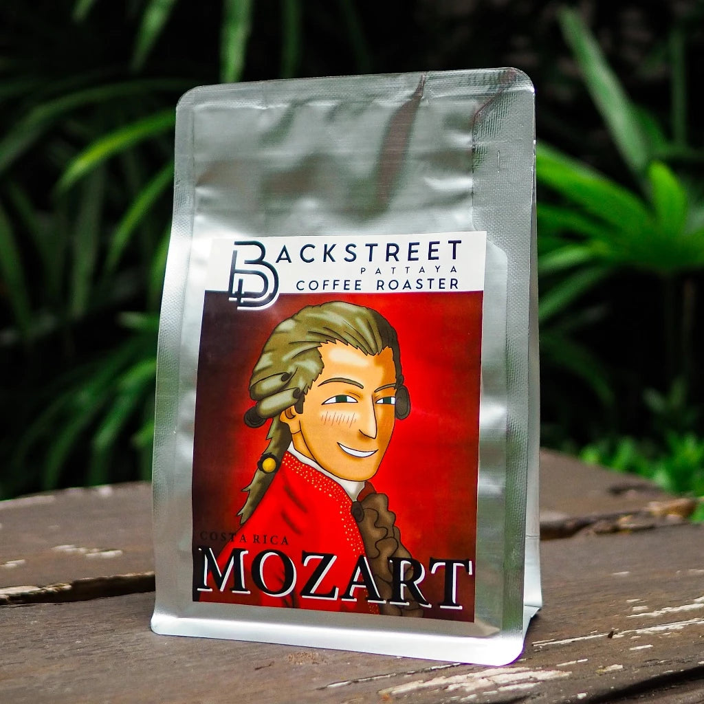 Backstreet | Costa Rica Mozart 150G