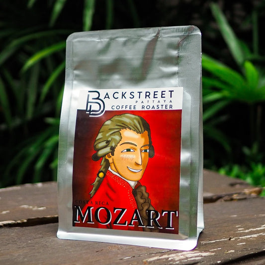 Backstreet | Costa Rica Mozart 150G