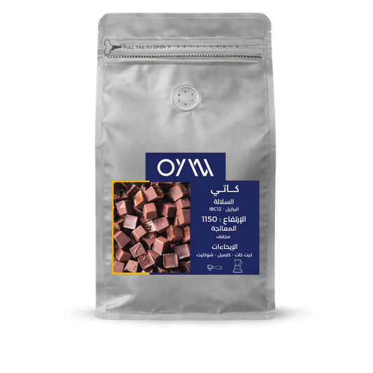 OYW | Brazil KitKat 250G