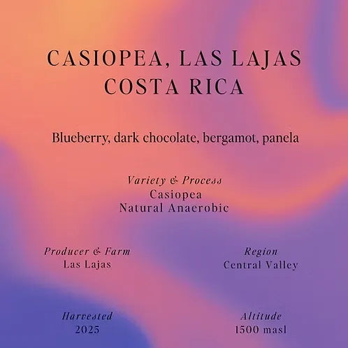 Sumo | Casiopea Las Lajas Costa Rica 250G